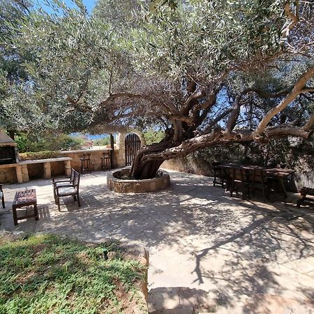 Olive Beach Villa بييا المظهر الخارجي الصورة
