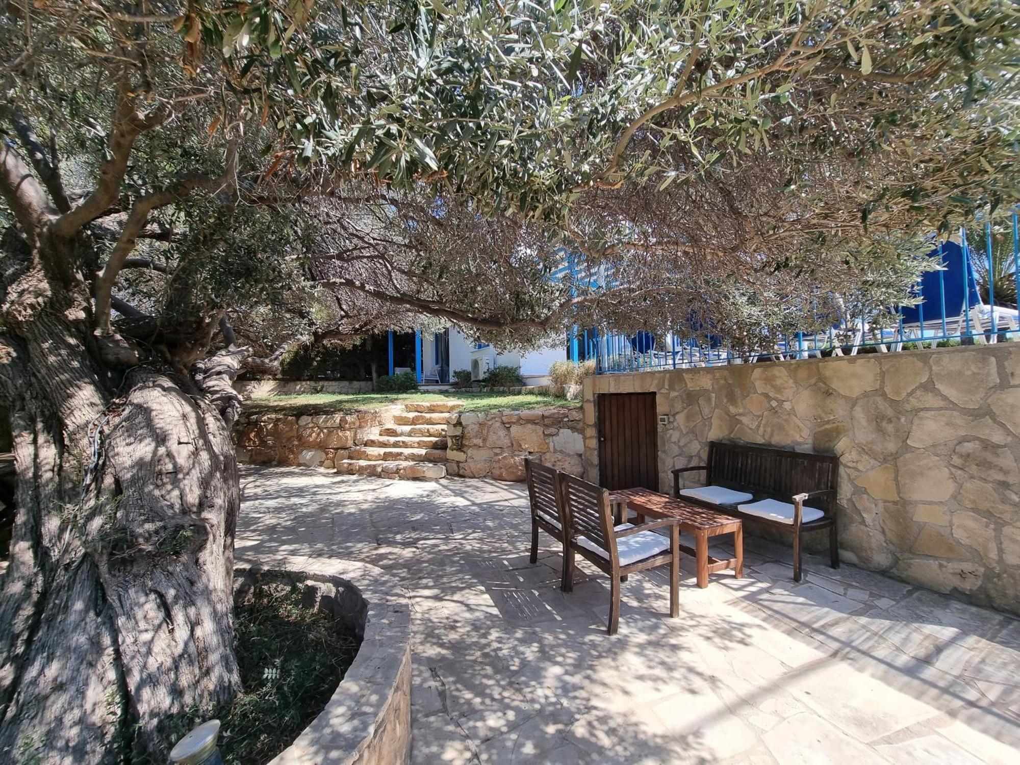 Olive Beach Villa بييا المظهر الخارجي الصورة